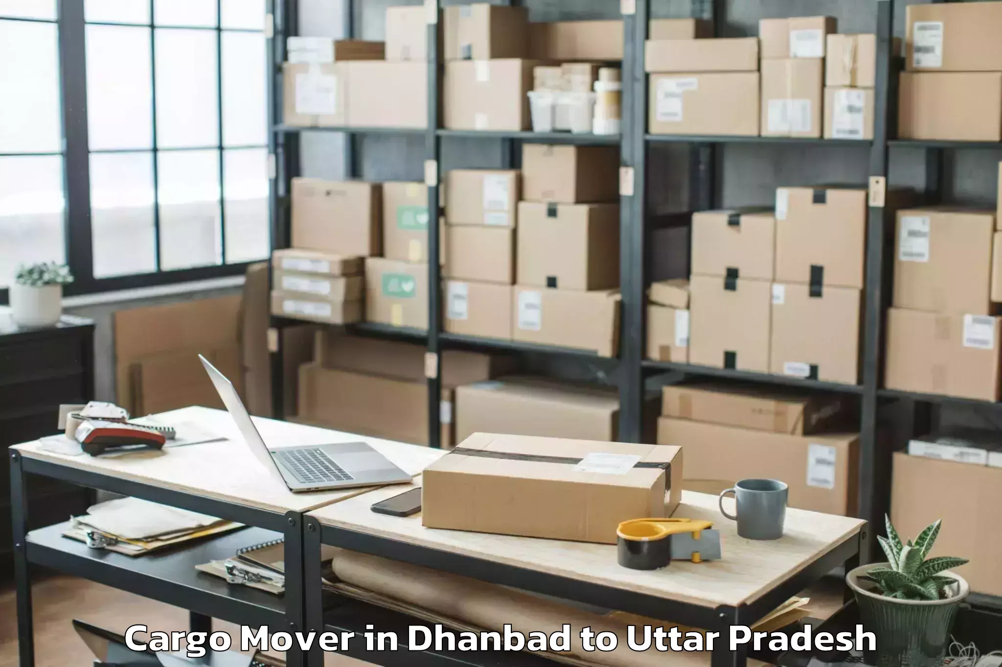 Top Dhanbad to Bikapur Cargo Mover Available